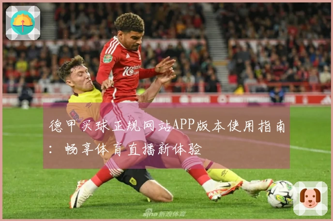 德甲买球正规网站APP版本使用指南：畅享体育直播新体验