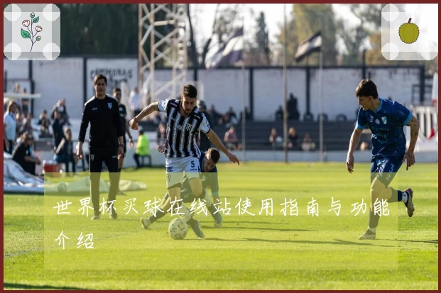世界杯买球在线站使用指南与功能介绍