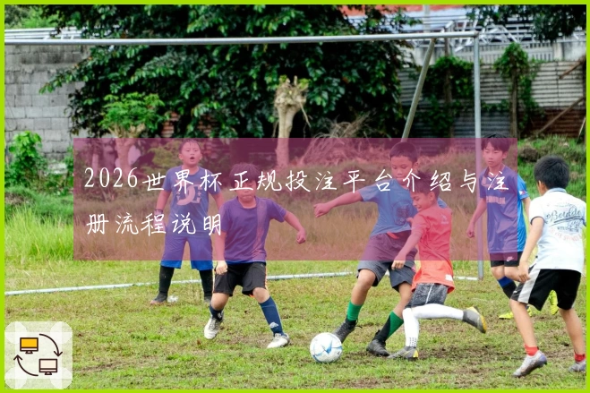 2026世界杯正规投注平台介绍与注册流程说明